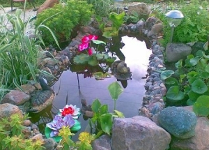 Езерцето во земјата, направи езерце од една стара бања во градината, корисни совети