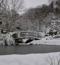 सर्दी के लिए देश में तालाब: सर्दियों में तालाब के लिए एक कंप्रेसर, सर्दियों में तालाब के लिए वायुमंडल, पौधों की सर्दी, मछली की सर्दी।