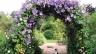 Garden arch, options, make an arch with your own hands