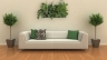 Вертикальне озеленення квартири, офісу, приватного будинку стабілізованими рослинами, як правильно це зробити