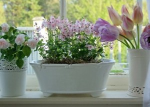 Virágok az ablakpárkányon