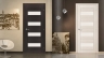 Kaip pasirinkti tinkamas duris į butą: pagal dydį, kainą, medžiagą, garso izoliaciją, svorį, spalvą.