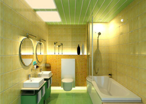 Panel plastik untuk dekorasi kamar mandi, pilih yang tepat, tips yang berguna