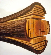 Древесина в строительстве, древесина применение, свойства древесины