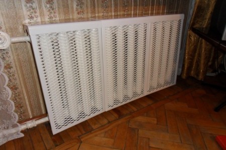 the-radiator-is-hidden-by-the-shield.jpg.pagespeed.ce.rmvZEH7mG9